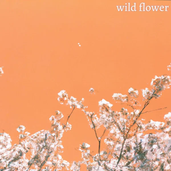 wild flower.