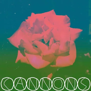 Night Verses by Cannons - album cover