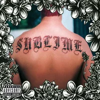 Sublime artist image