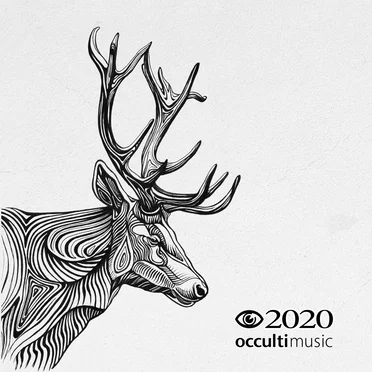 Occulti Music 2020 by Various Artists - album cover