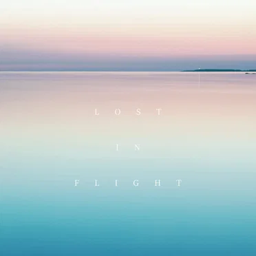 Lost in Flight