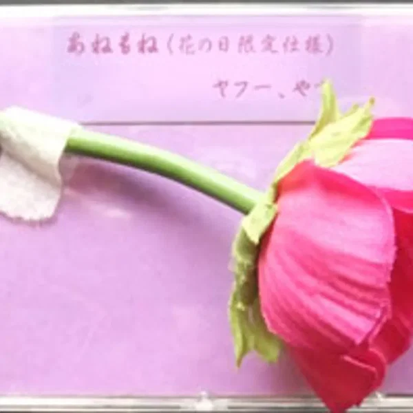 あねもね (花の日限定仕様)