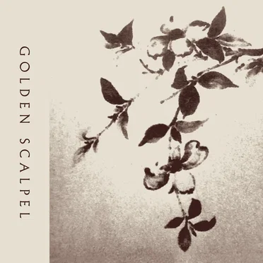 Golden Scalpel