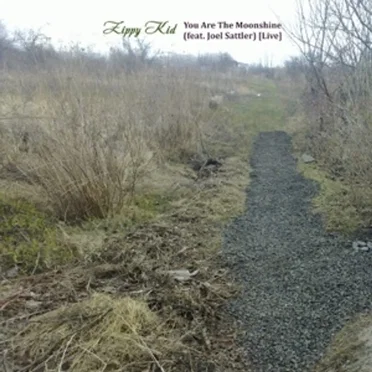 You Are the Moonshine (Live)