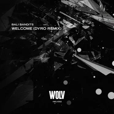 Welcome (Dyro remix)