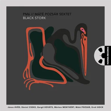 Black Stork