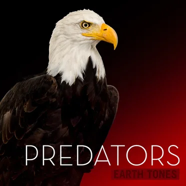 Predators