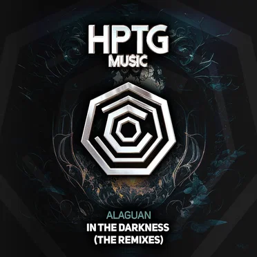 In the Darkness (The Remixes)
