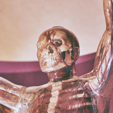 Angel by Spyder - album cover