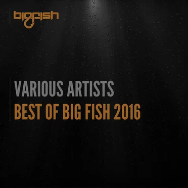 Best of Big Fish 2016 by Various Artists - album cover
