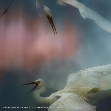 The Making of a Paracosm (Remixes Vol. 2)