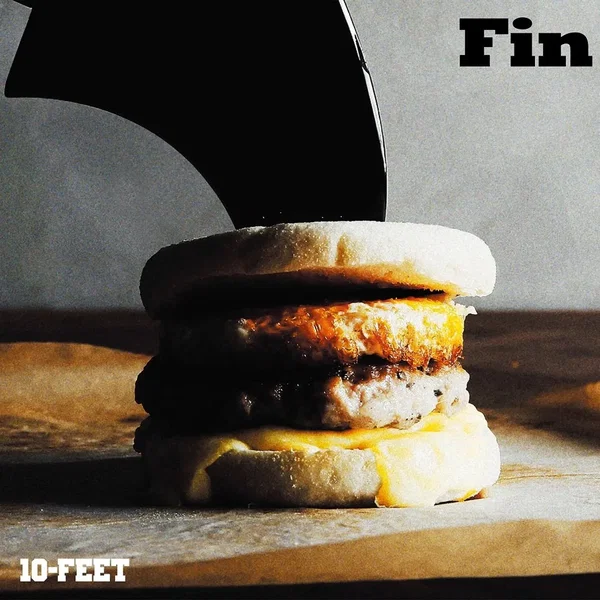Fin
