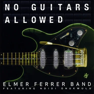 No Guitars Allowed by Elmer Ferrer - album cover