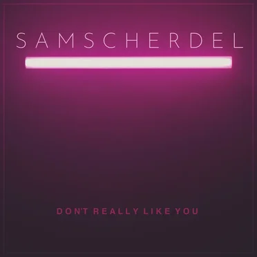 Don't Really Like You by Sam Scherdel - album cover