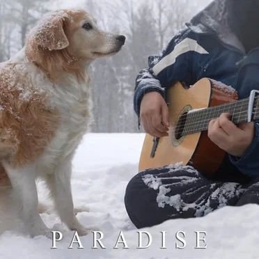 Paradise by AcousticTrench - album cover