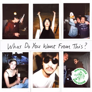 What Do You Want From This? by Peach Fuzz - album cover