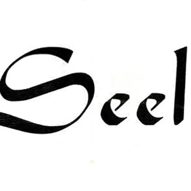 Sincere letter / rain fall by Seele - album cover