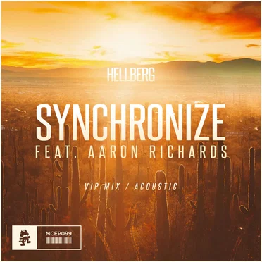 Synchronize (VIP mix / acoustic)