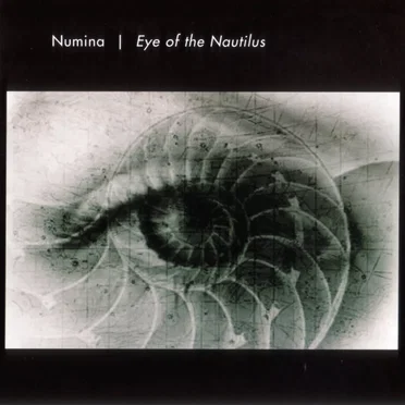 Eye of the Nautilus