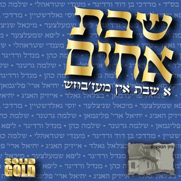 Shevet Achim: A Shabbos in Mezbish by Avi Fishoff - album cover