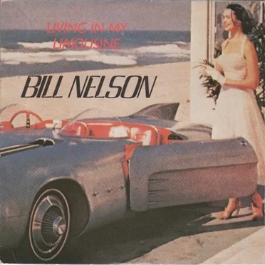 Living in My Limousine