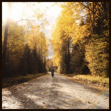 ..but the leaves they are changing