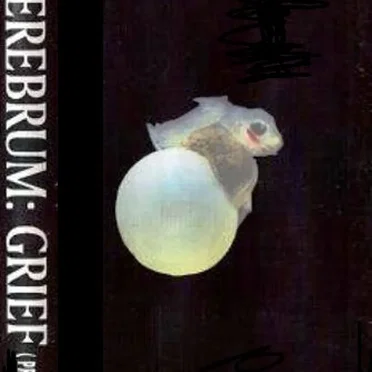 Grief