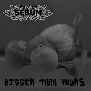 Bigger Than Yours by Sebum - album cover
