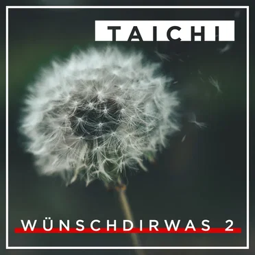 Wünsch dir was 2