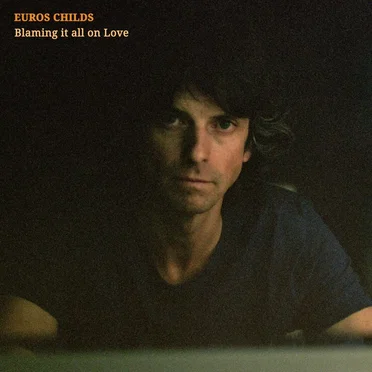 Blaming it all on Love by Euros Childs - album cover
