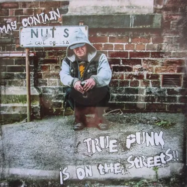 True Punk Is on the Streets by May Contain Nuts - album cover