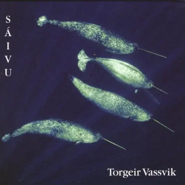 Sáivu by Torgeir Vassvik - album cover