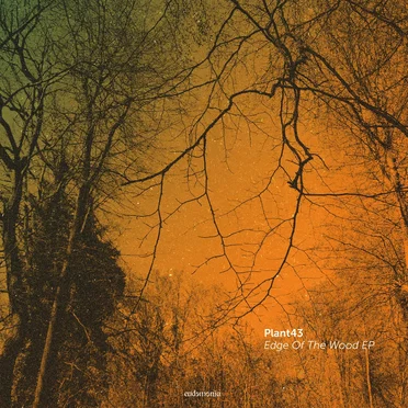 Edge of the Wood EP