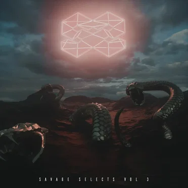 Savage Selects, Vol. 3 by Various Artists - album cover