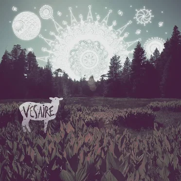 Vesaire by Son Feci Bisiklet - album cover