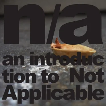 An Introduction to Not Applicable by Various Artists - album cover