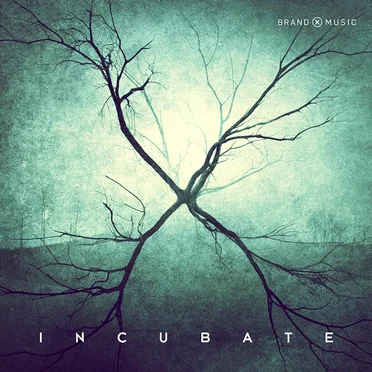 Incubate by Brand X Music - album cover