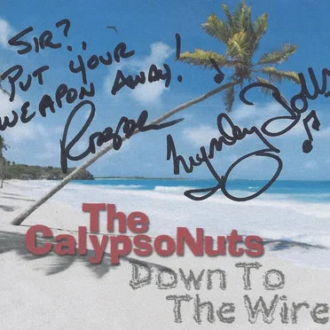 Down to the Wire by The CalypsoNuts - album cover