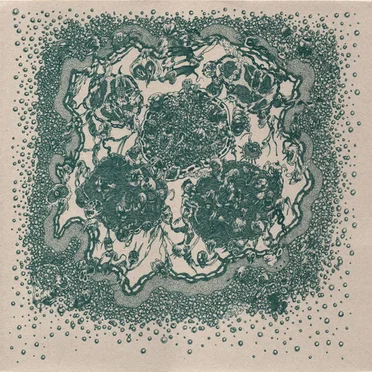 Extinción de los Insectos by Extinción de los Insectos - album cover