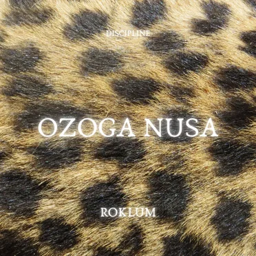 Ozoga Nusa by Roklum - album cover