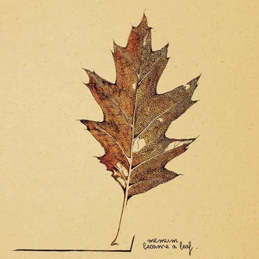 Became A Leaf