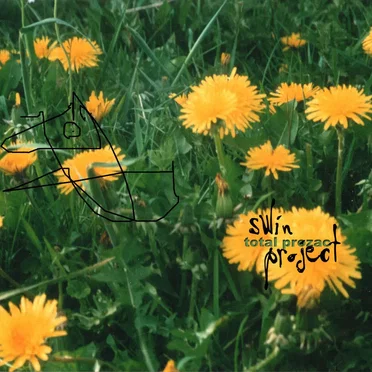 Swin Project