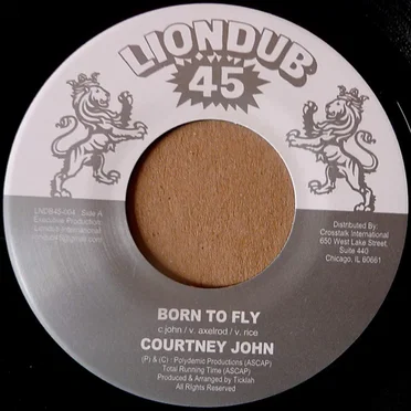 Born to Fly / Born to Dub