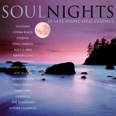 Soul Nights by Various Artists - album cover