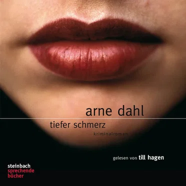 Tiefer Schmerz by Arne Dahl - album cover