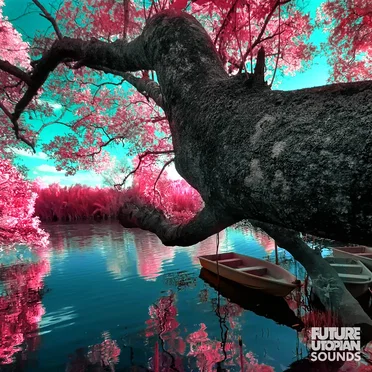 Call It Peace by Future Utopian Sounds - album cover