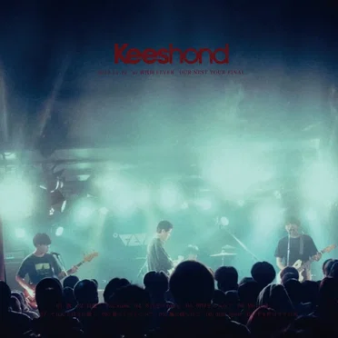 OUR NEST TOUR FINAL at 新代田FEVER