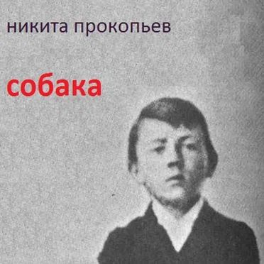 Собака