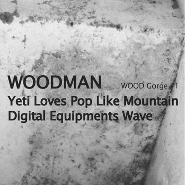『山が鼾をかいてるうちに』 / Yeti Loves Pop Like Mountain Digital Equipments Wave
