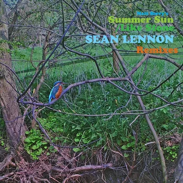 Like Stone (Sean Ono Lennon remix)